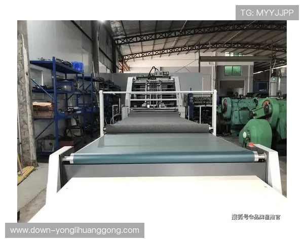 永利澳门有限公司官网首页官方平台，提供最新的优惠信息、娱乐项目和客户服务指南