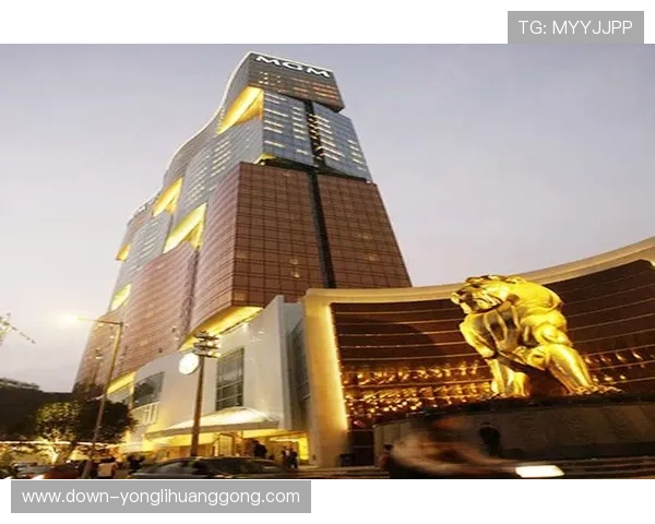 澳门美高梅贵宾厅的独特魅力，尊贵体验与奢华享受的完美融合